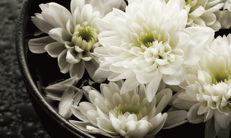 プライバシーポリシー