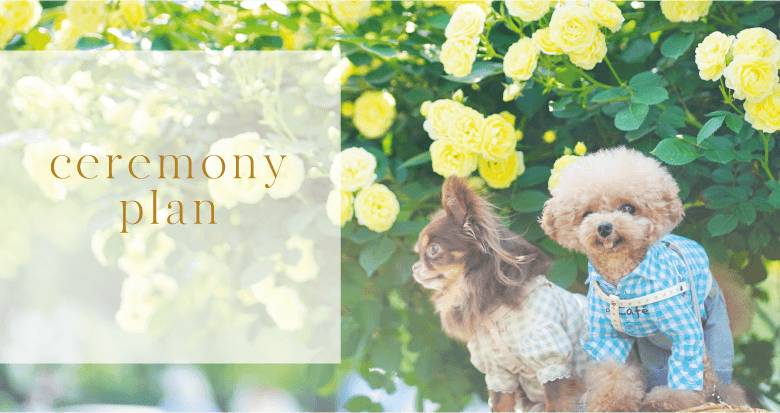 火葬プラン・料金