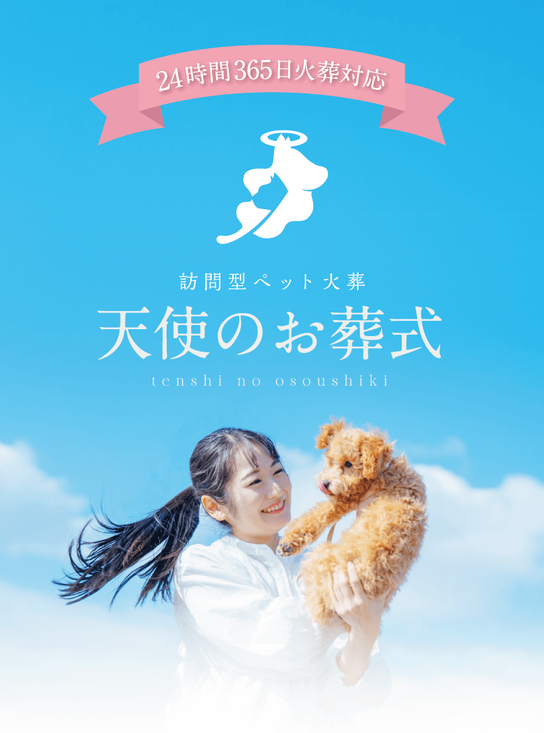 ペット火葬 天使のお葬式